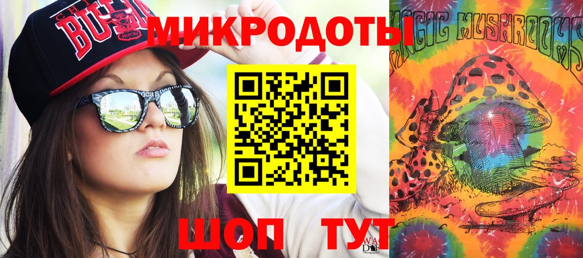 Псилоцибиновые грибы Psilocybine cubensis Можайск